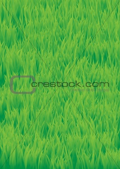 Green_grass