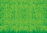 Green_grass_horisontal