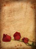 Grunge paper with red roses. 