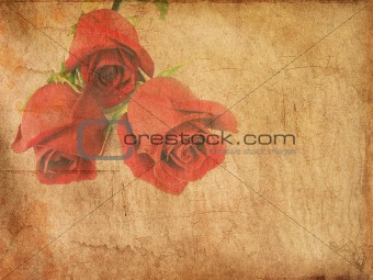 Grunge paper with red roses    
