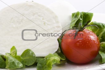 mozzarella bufala and salad