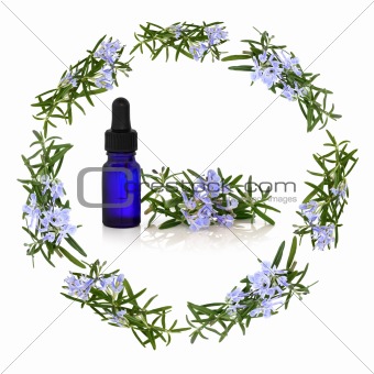 Rosemary Herb Flower Therapy