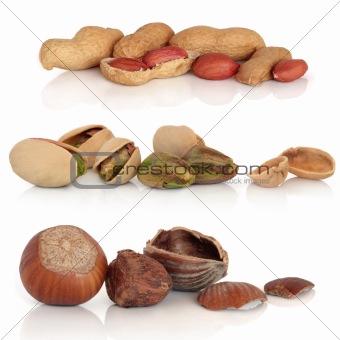 Hazelnut, Pistachio and Peanut Selection