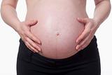 closeup of a pregnant woman touching her belly - isolated on white
