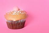 shot of a chocolate cupcake on pink background