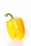 shot of yellow pepper vertical