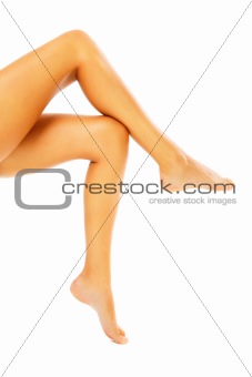 Beautiful female legs