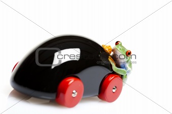 Frog and car