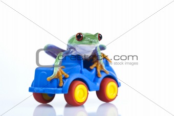 Green Frog driving!