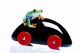 Frog and car