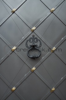 Metal gate with handle