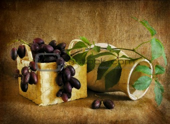 Grapes in a basket and a vase, a still-life. 