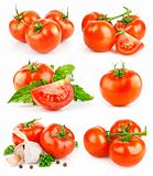 set fresh tomato fruits with green leaves