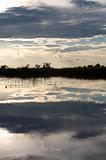 Okavango delta in botswana - Moremi Reserve