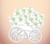 pushcart and flower