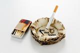 Cigarette in skull ashtray with matches
