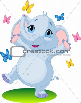 Baby elephant dancing with butterflies