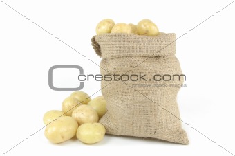 White fresh mini potatoes - horizontal orientation. 