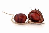 Conkers and String