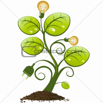 renewable resource tree