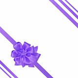 Purple Ribbon and Bow