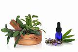 Sage Herb and Essential Oil