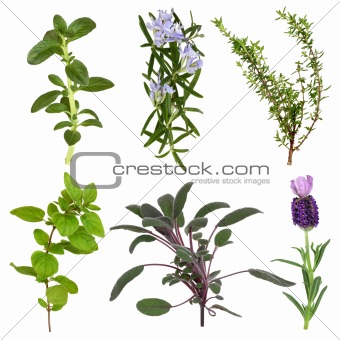 Herb Leaf Collection
