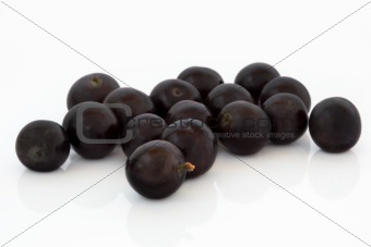 Blueberry Fruit