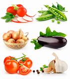 set fresh vegetable fruits with green leaves