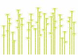 Bamboo tree silhouettes, vector 