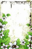 Grunge flower background with leaves