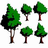 Five green trees