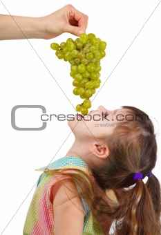 Funny little girl eating grapes from hand