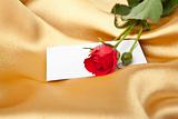 Red rose and blank card on golden satin