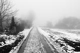 Foggy road in the winter