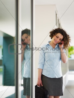 mid adult businesswoman on the phone