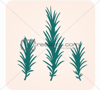 Rosemary herb silhouette