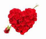Heart Shape Made Of Rose Petals With Long Stemmed Rose as an Arr