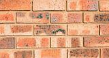 Close-up of a Brick wall, ideal for a background