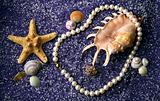 Pearl necklace with sea shell and starfishes on lilac sand
