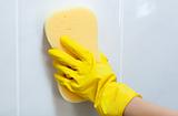 Close-up of a woman cleaning with a sponge