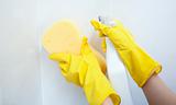 Close-up of a woman cleaning with a sponge and detergent spray
