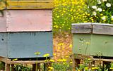 Colored bee-houses.