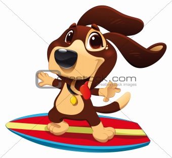 Dog with surf.