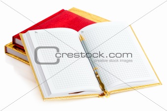 Golden notebook with silver pen