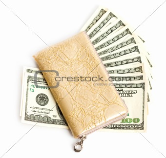 wallet with many dollars isolated