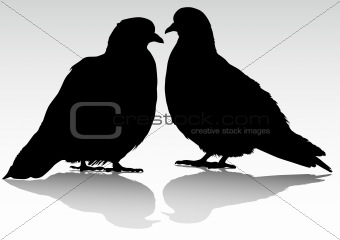 Two doves
