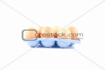 eggs in a blue egg tray