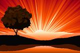 Amazing natural sunrise landscape with tree silhouette, vector i