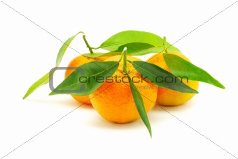  mandarin 